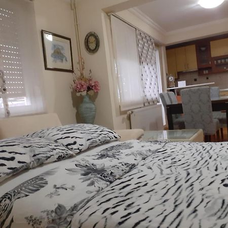 Spacious 80M2 Apartment In The Center Liyubuşka Dış mekan fotoğraf